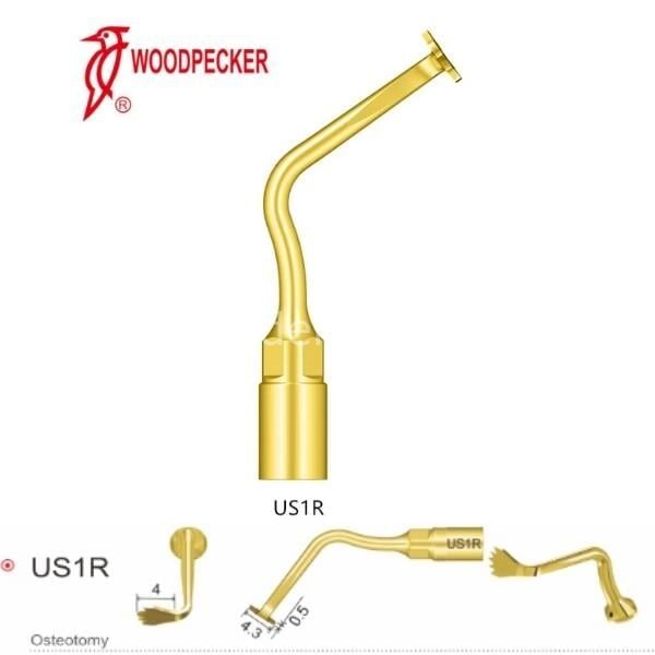 Woodpecker US1R Ultrasurgery Kemik Kesme Ucu