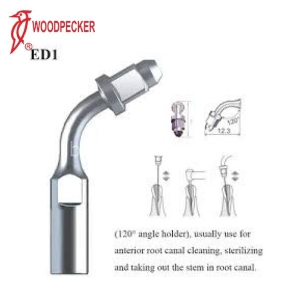 Woodpecker Elektirikli Kavitron Ucu ED1 Model