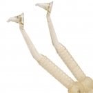 Contact-Gold Kompozit Şekillendirme Aleti