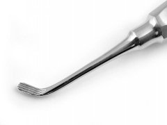 LONDON HOSPİTAL.COLEMAN-R