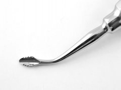 BERNARD LİNDO LEVİEN