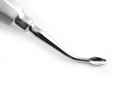 BERNARD LİNDO LEVİEN