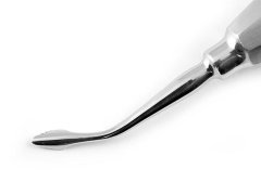 BERNARD LİNDO LEVİEN