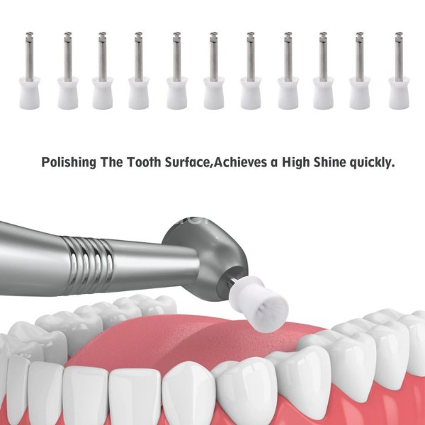 Periodontal Cila Lastikleri 5 Adet (Rubbur Cup )