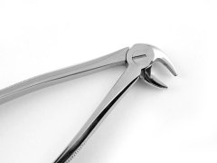 ALT KÜÇÜK AZI DAVYE