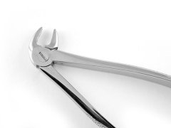 ALT KÜÇÜK AZI DAVYE