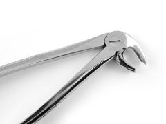 ALT BÜYÜK AZI DAVYE