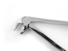 ALT BÜYÜK AZI DAVYE