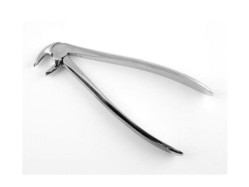 ALT BÜYÜK AZI DAVYE