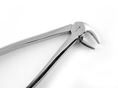 ALT KÖK KESER DAVYE