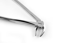 ALT KÖK KESER DAVYE