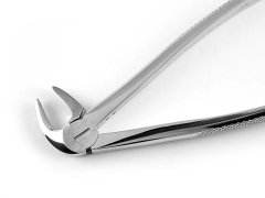 ALT KÖK KESER DAVYE