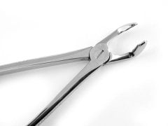 ALT YİRMİ YAŞ DAVYESİ