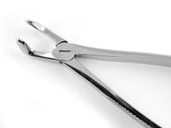 ALT YİRMİ YAŞ DAVYESİ