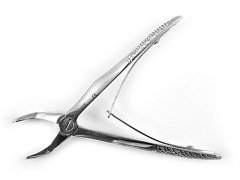 ÜST BÜYÜK AZI ÇOCUK DAVYE