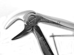 ALT KÜÇÜK AZI ÇOCUK DAVYE