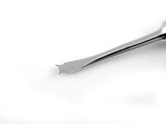 YİRMİ YAŞ ELEVATÖRÜ, ROSIN