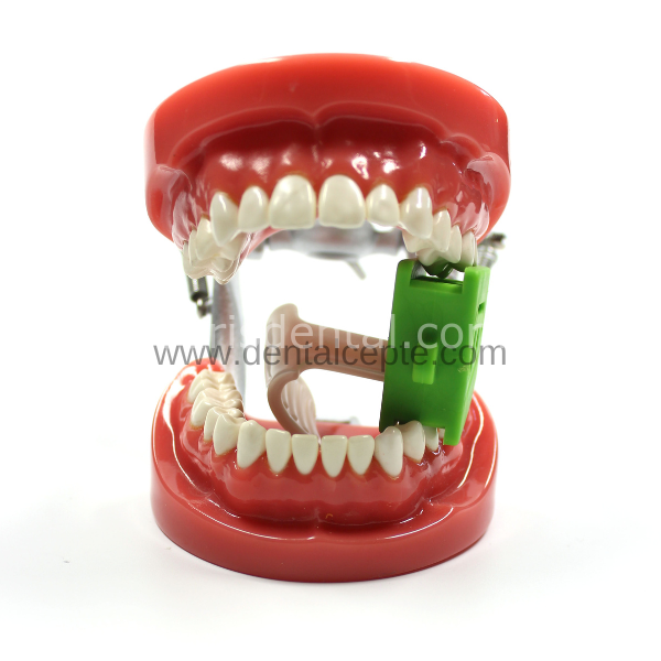 Cotisen Diş Takozu Ekartörü