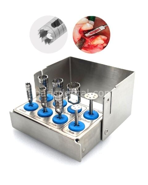 Queen Trefan Frez 2 8cm 8 Ad--Kaset - QSET8TRPH003