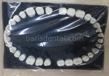 Fantom Çene Yedek Dişleri