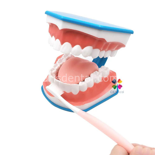Kerr İdentoflex Kompozit Cila Lastiği Asorti /Sarı/Beyaz 8 adetli