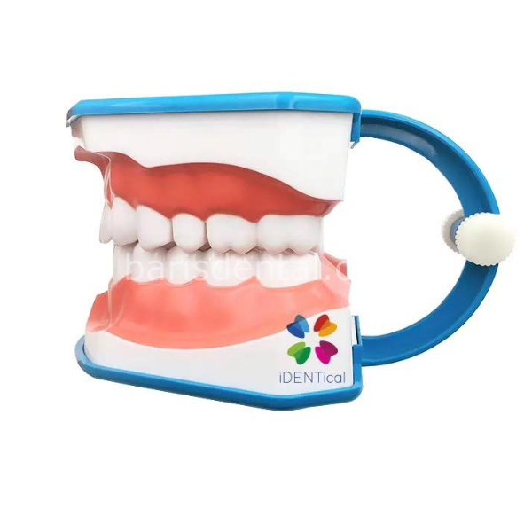 Kerr İdentoflex Kompozit Cila Lastiği Asorti /Sarı/Beyaz 8 adetli