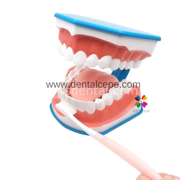 Kerr İdentoflex Kompozit Cila Lastiği Asorti /Sarı/Beyaz 8 adetli