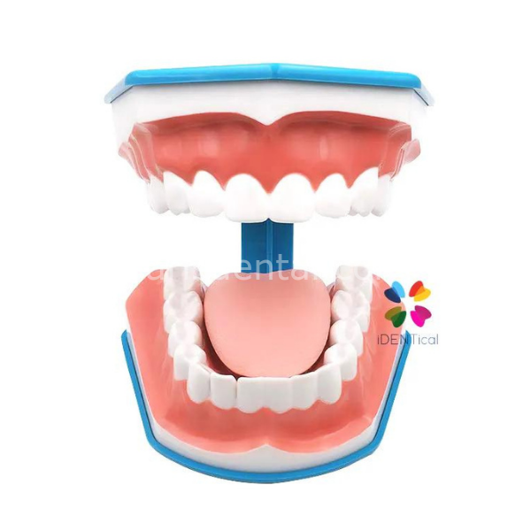 Kerr İdentoflex Kompozit Cila Lastiği Asorti /Sarı/Beyaz 8 adetli