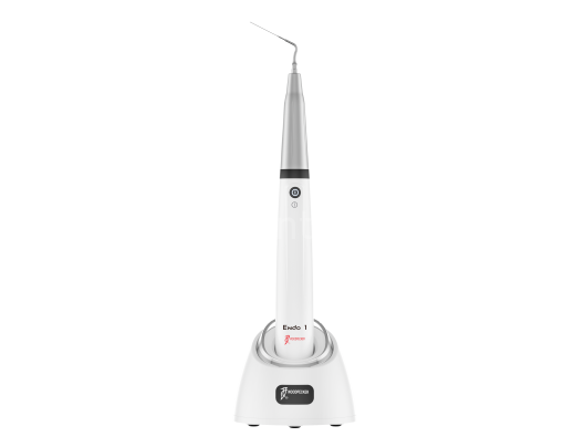 Woodpecker Endo 1 Ultrasonik Endo Aktivatör