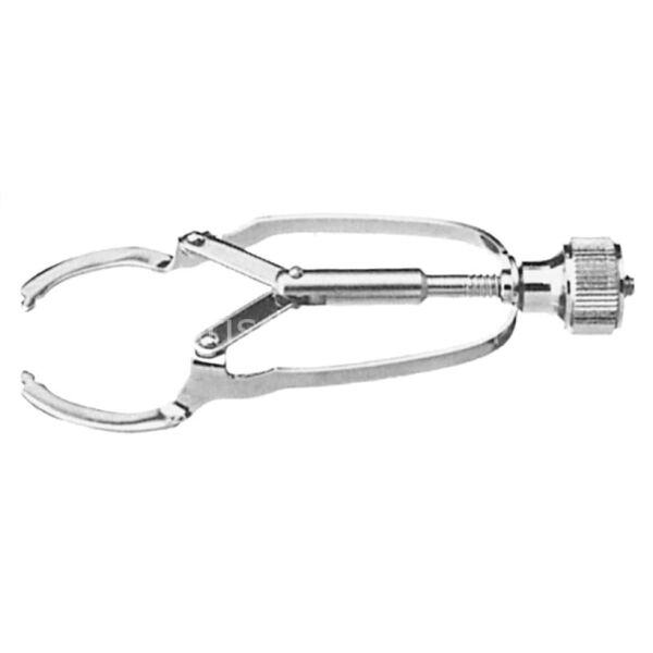 24 Carat Set Ev Tipi Beyazlatma