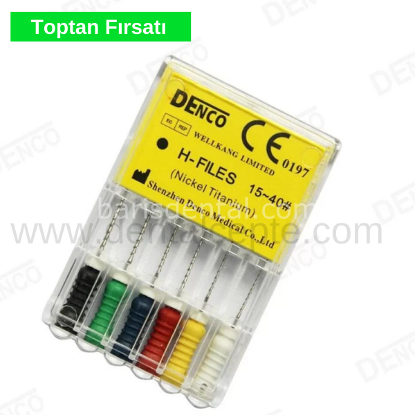 Denco Kanal Eğesi-H FİLES-25MM