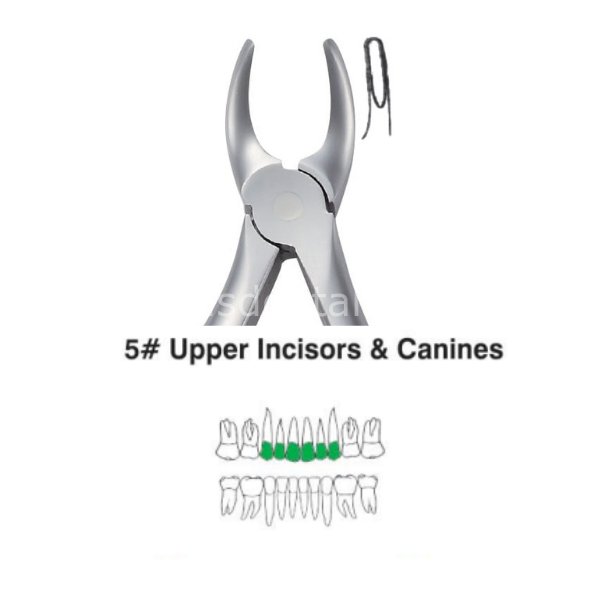 Perfect Pedo Üst Kesici-Canin Diş Davyesi (Çocuk )