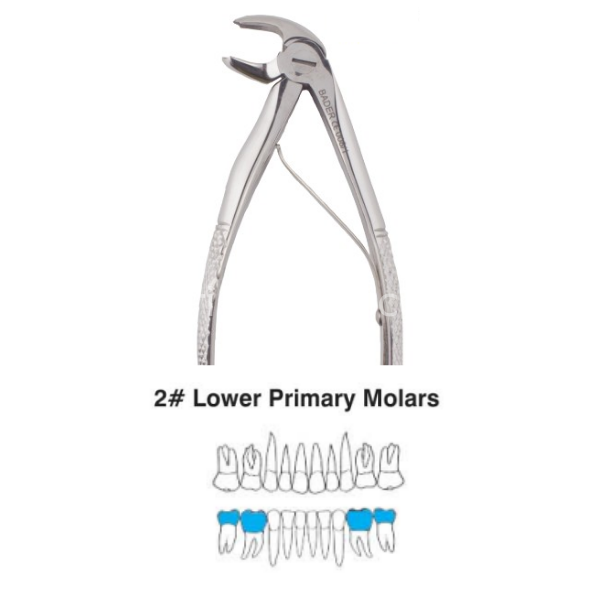Perfect Pedo Alt Primary Çekim Davyesi (Çocuk)