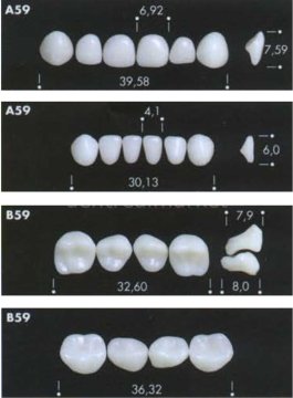 Major Bambino Akrilik Diş (Çocuklar için)