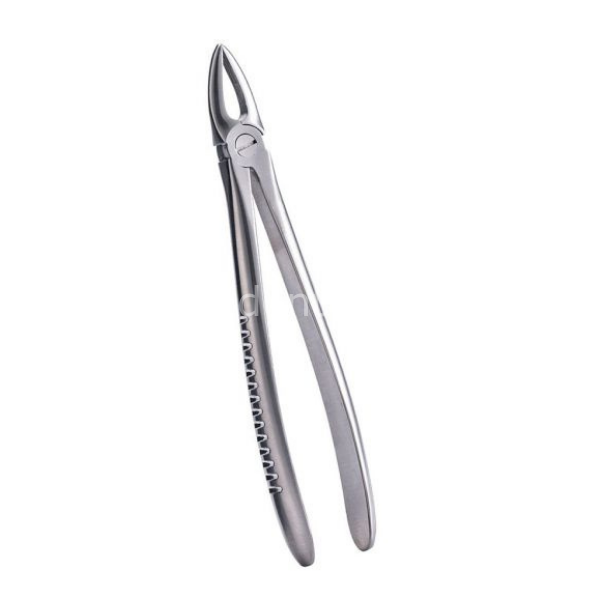 Perfect Üst Kök Davyesi Fig.29