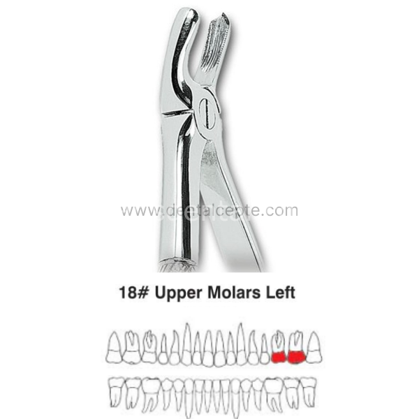 Perfect Üst Molar Sol Kök Davyesi Fig.18