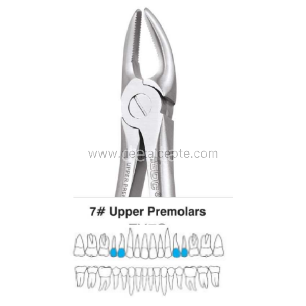 Perfect Üst Kök Premolar Çekim Davyesi Fig.7