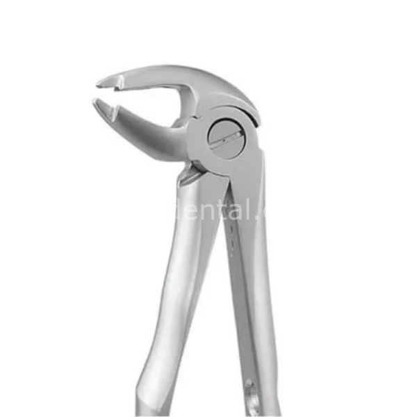 Perfect Alt Kök Premolar  Davyesi - Atravmatik Davye