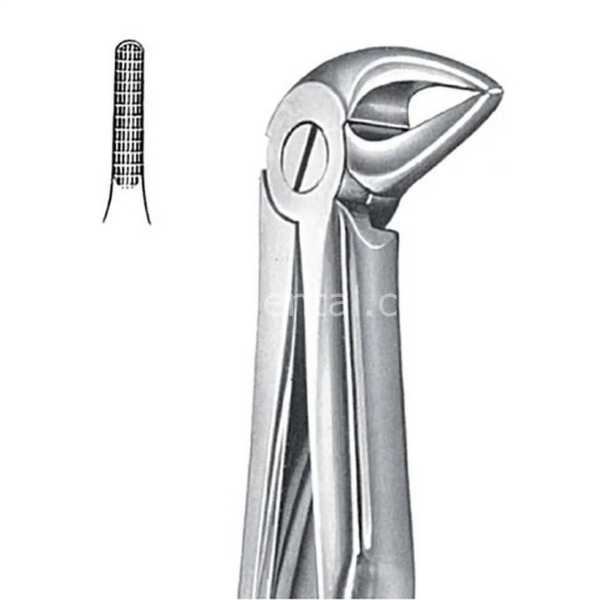 Perfect Alt Kök Küçük Azı Davyesi Fig.33