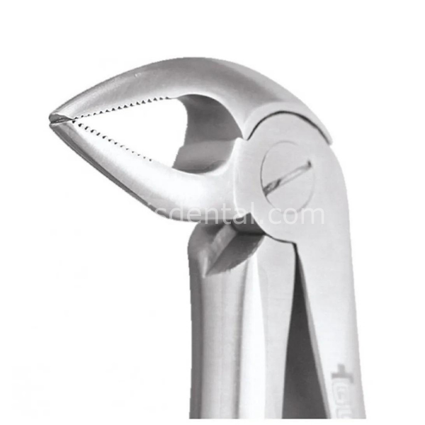 Perfect Alt Kök Küçük Azı Davyesi Fig.33