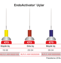 EndoActivatör Uçları