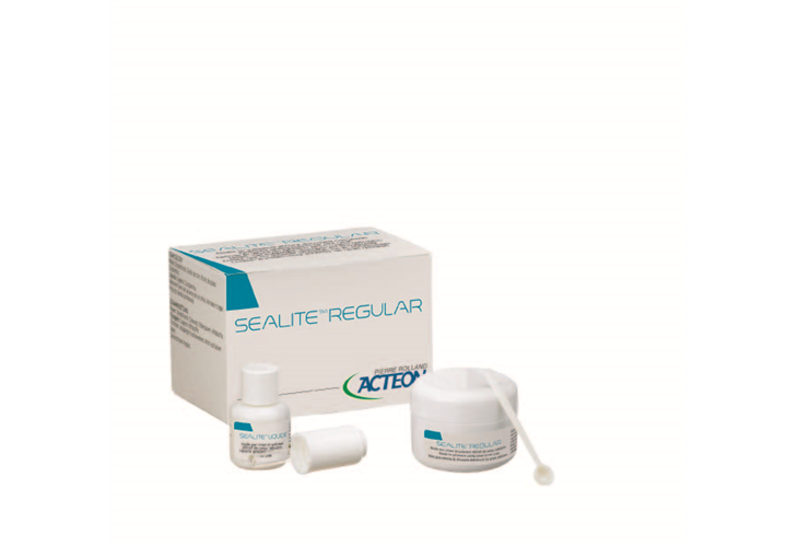 Sealite Regular Kök Kanal Dolgu Simanı