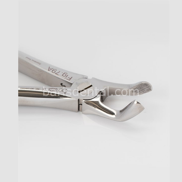 Queen Alt 20 Yaşlar Davyesi Fig. 79A 16,3cm