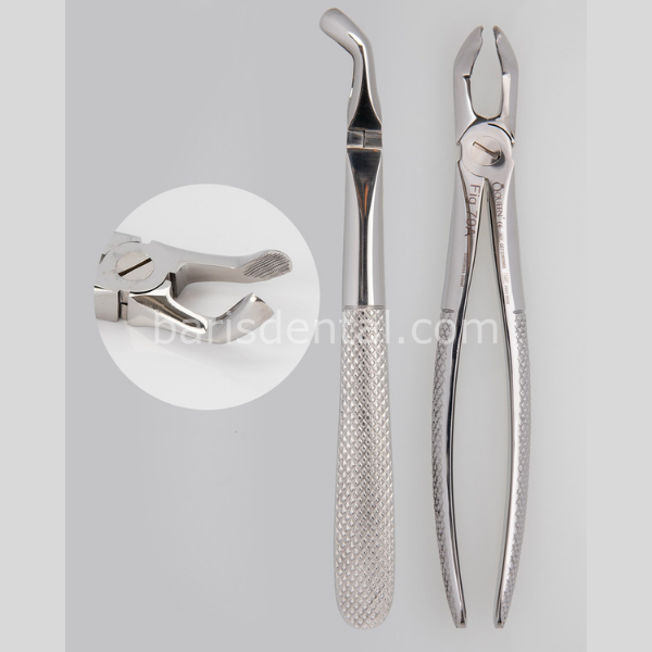 Queen Alt 20 Yaşlar Davyesi Fig. 79A 16,3cm