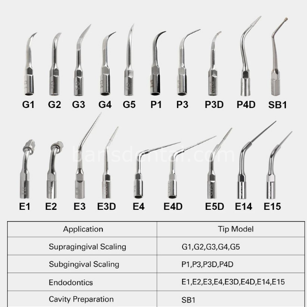Woodpecker - DTE Kavitron Ucu Model: G4-1 Adet
