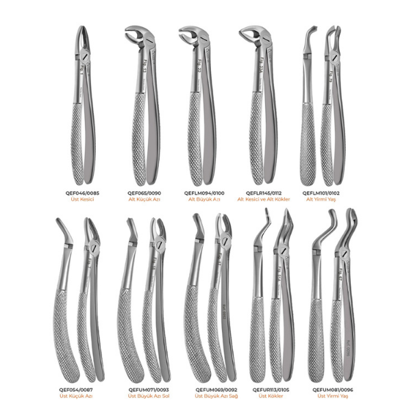 Queen Davye Seti 10 lu Set Yüksek Kalite