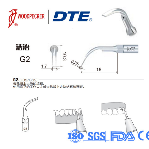 Woodpecker - DTE Kavitron Ucu Model: G2-1 Adet