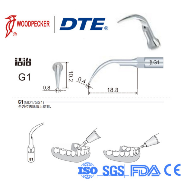 Woodpecker - DTE Kavitron Ucu Model: G1-1 Adet