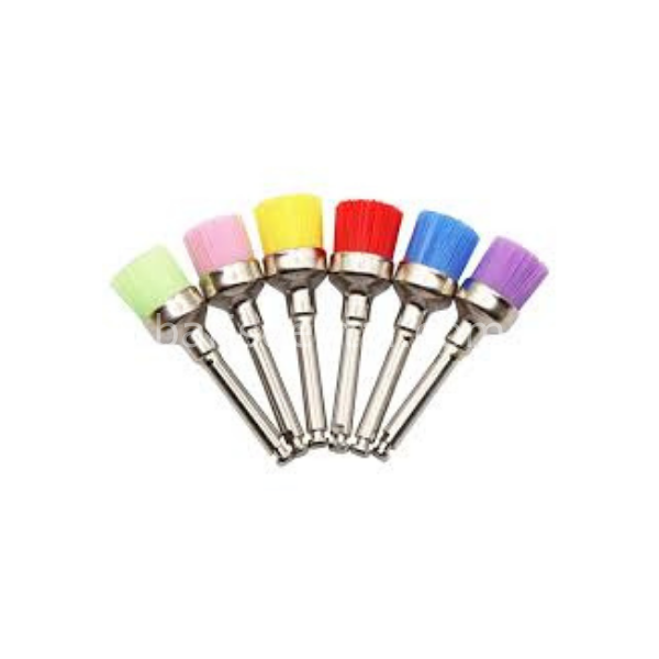 Portegü CASTRAVIEJO -TC